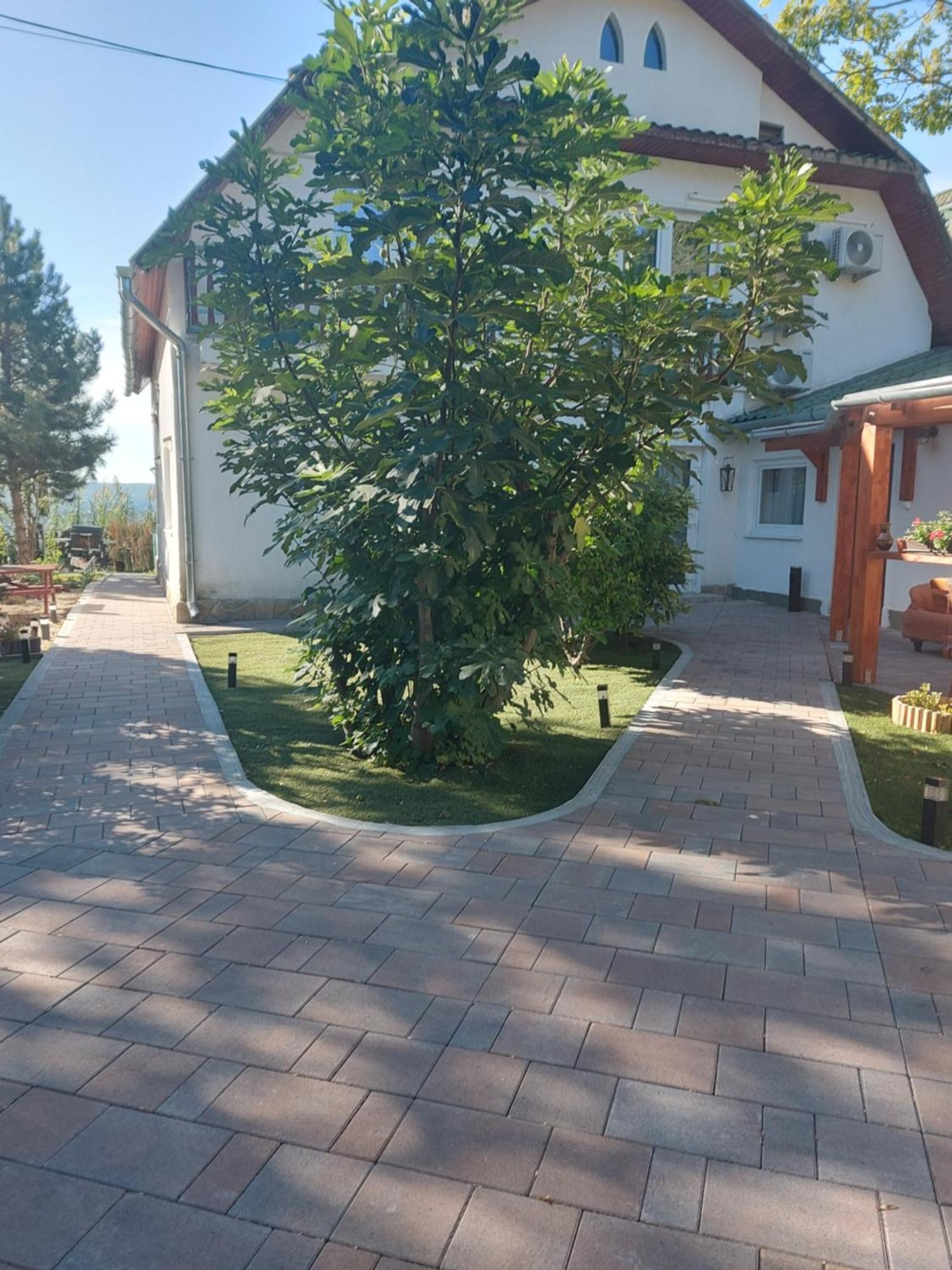 Attila'S Guest House Budaörs Zewnętrze zdjęcie